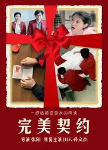 完美契约电影海报
