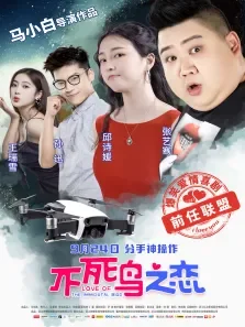 不死鸟之恋电影海报