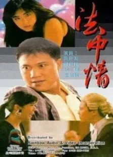 法中情电影海报