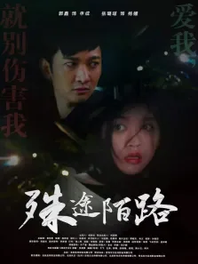 殊途陌路电影海报