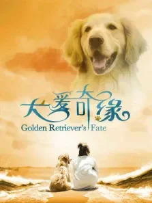 犬爱奇缘电影海报