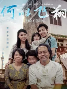 何以飞翔电影海报