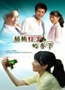 杨梅红了的季节电影海报