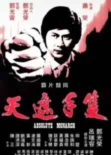 只手遮天电影海报