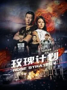 玫瑰计划电影海报