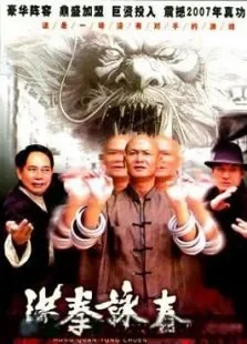 洪拳咏春电影海报
