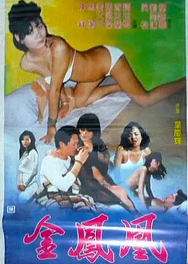 金凤凰电影海报