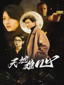 天地雄心电影海报