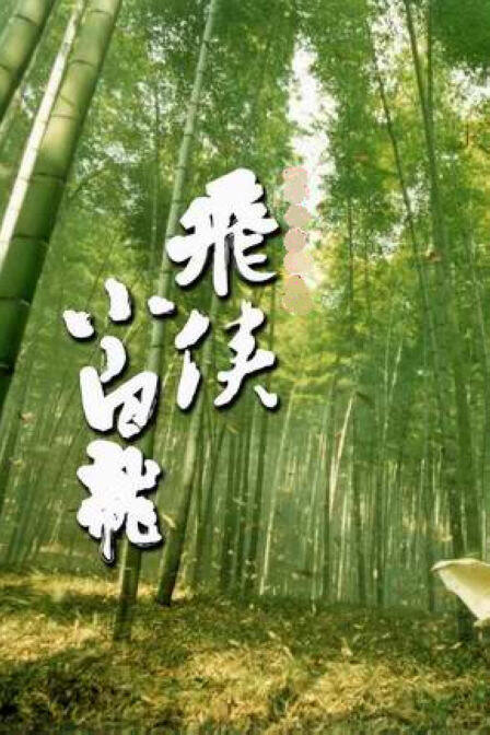 飞侠小白龙