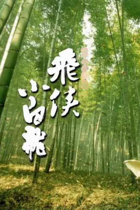 飞侠小白龙电影海报