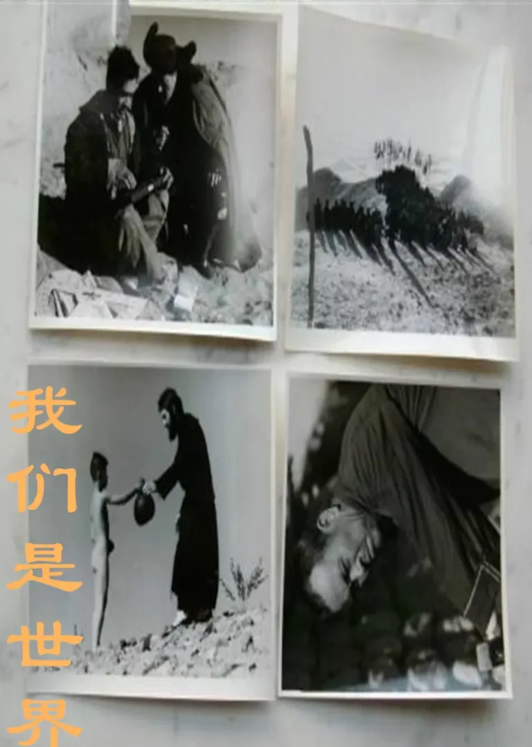 我们是世界电影海报