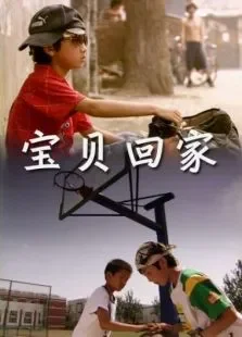 宝贝回家电影海报