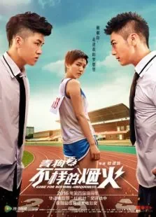 青春喂了狗2-不一样的烟火电影海报