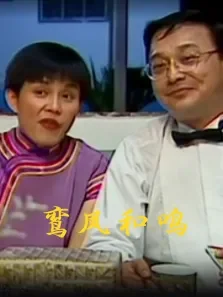 鸾凤和鸣电影海报