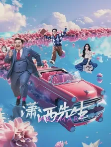 潇洒先生电影海报