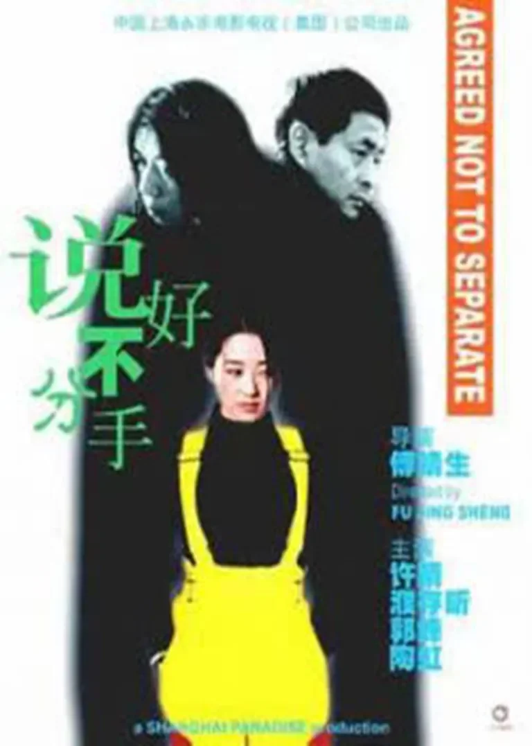 说好不分手电影海报