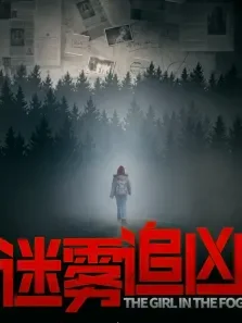 迷雾追凶电影海报