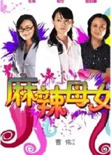 麻辣母女电影海报