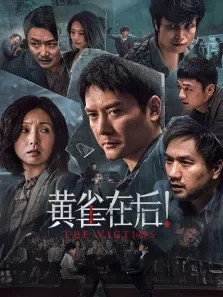黄雀在后电影海报