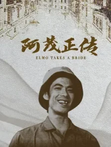 阿茂正传电影海报