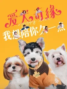 爱犬奇缘电影海报