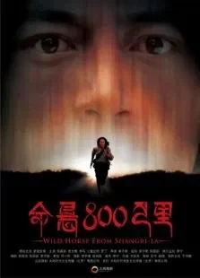命悬800公里电影海报