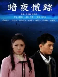 暗夜慌踪电影海报