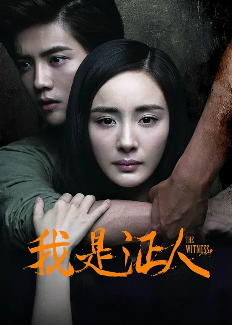 我是证人电影海报