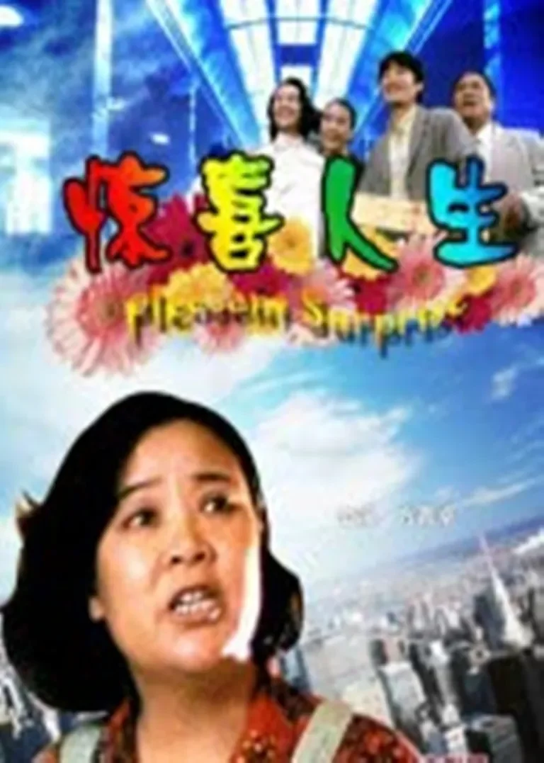 惊喜人生电影海报