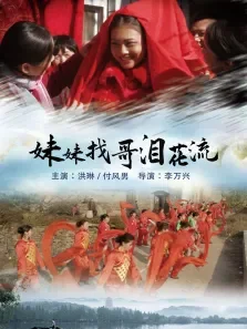 妹妹找哥泪花流电影海报