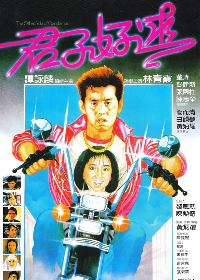 君子好逑电影海报