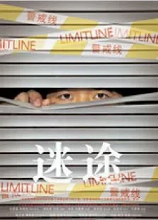 迷途电影海报