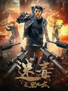 迷毒之东风破电影海报