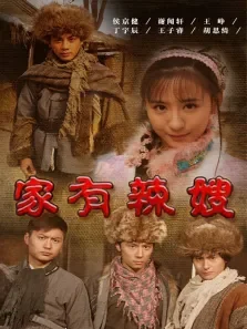 家有辣嫂电影海报