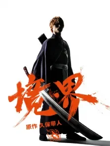 境·界电影海报