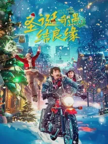 圣诞奇遇结良缘电影海报