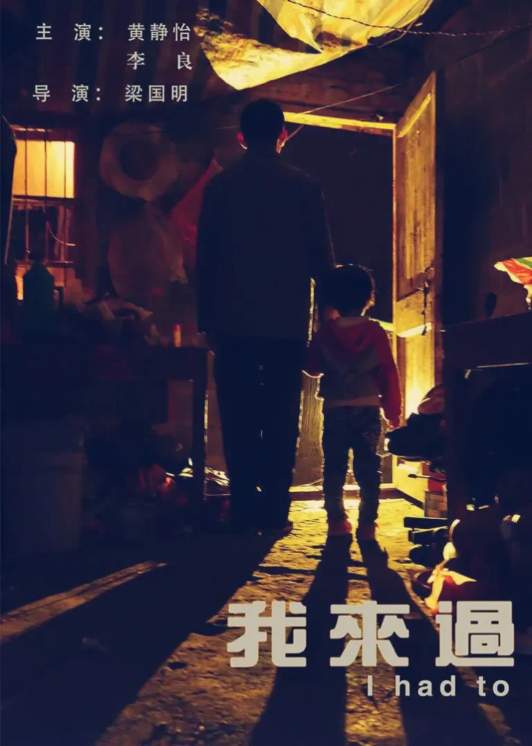 我来过电影海报