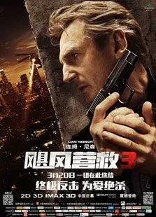 飓风营救3电影海报