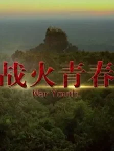 战火青春电影海报