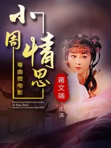 小周情思电影海报