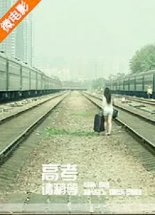 高考，请稍等电影海报