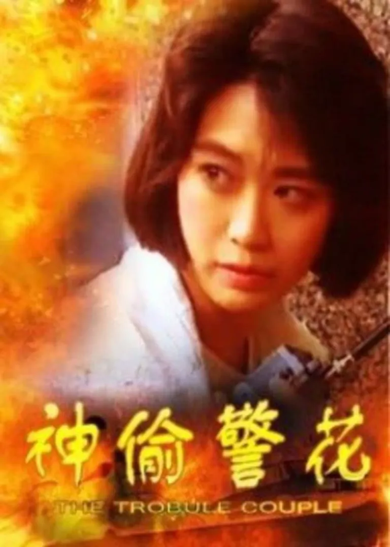 神偷警花电影海报