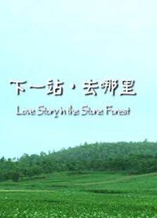 下一站去哪里
