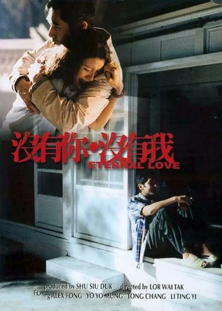 没有你 没有我电影海报