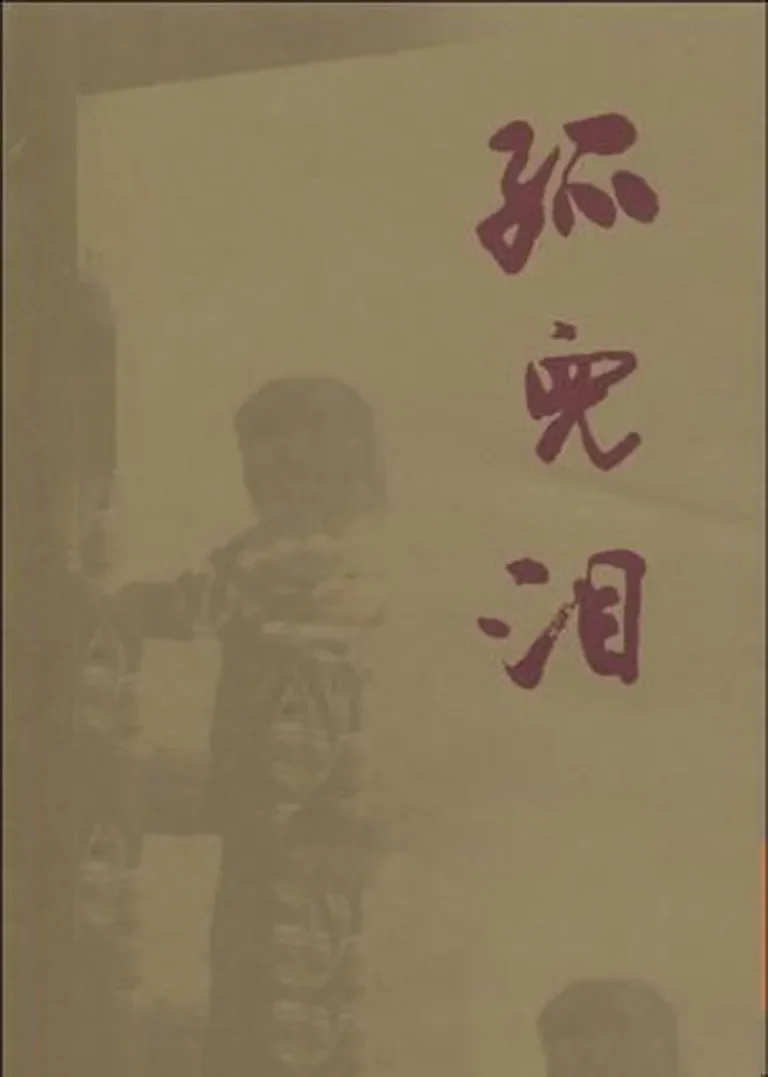 孤儿泪电影海报
