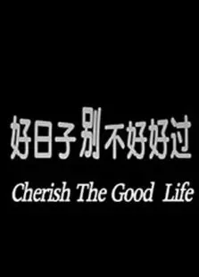 好日子别不好好过电影海报