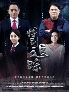特别追踪电影海报