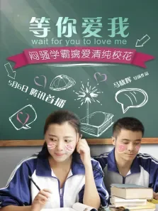 等你爱我（2016）电影海报