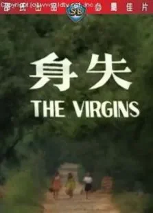 失身电影海报