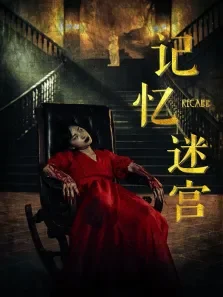 记忆迷宫电影海报